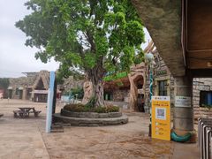 -美的鹭湖探索王国