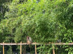 -苏州环秀晓筑养生度假村