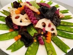 -天鹅到家·保姆月嫂育儿嫂(南开店)