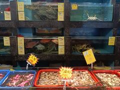 -新金盛·海鲜酒楼(盐田店)