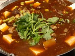 牛肉锅-金锅小厨(乐活街店)