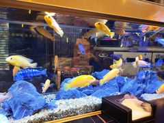 -黄鱼炙夜·烧烤·小龙虾(星荟广场店)