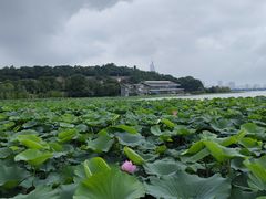 -岗子村(地铁站)