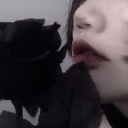 -蚂蚁造型沙龙