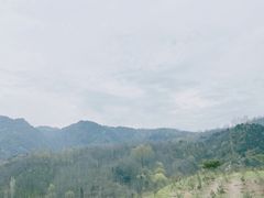 -老乌家特色小炒泡馍(大皮院店)