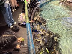 -福州罗源湾海洋世界旅游区