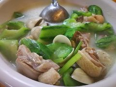 -鸽王世家(东华东路店)