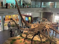 -自贡恐龙博物馆