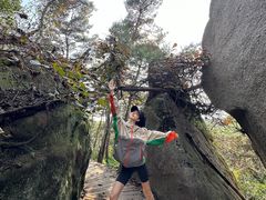 -鲁山国家森林公园