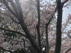 -堤角公园