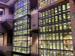 -广东中医药博物馆