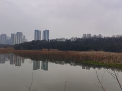 -月湖风景区