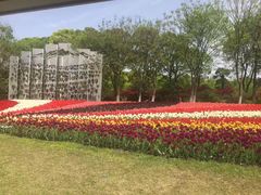 -上海鲜花港