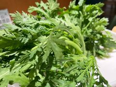-烹然四季椰子鸡火锅(姚家园万象汇店)