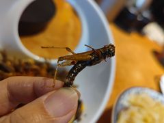 -园林美食城·本土农家菜(杨和镇店)