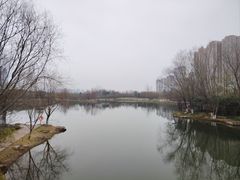 -洋湖国家湿地公园