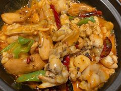 黑松茸牛肝菌焖牛蛙-云海肴·汽锅鸡·云南菜(美罗城店)