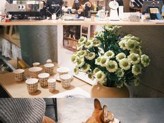 -Infica Coffee