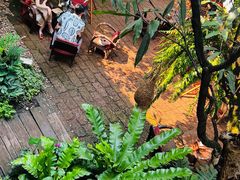-Fern Forest Cafe