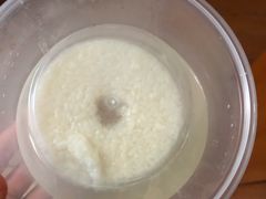 -润和祥小砵头甜酒酿