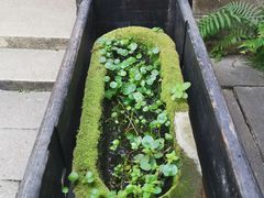 -老屋咖啡