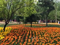 -长春公园(普阳街道)