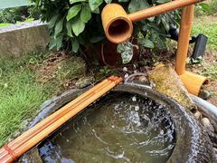 -树厨贵州菜(铜仁花果山店)