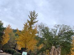 -青州市云门山风景区