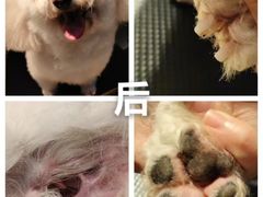 -听TA说宠咖·宠物生活馆(天韵水岸店)