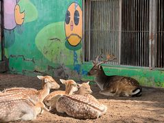 -鄂尔多斯野生动物园