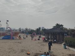 -九龙湖公园