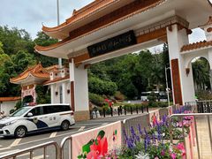 -深圳仙湖植物园
