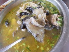 清炖鲟鱼-青龙潭鱼庄