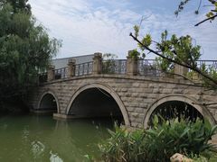 -桃花岛景观公园