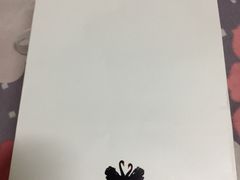 -BLACKSWAN黑天鹅(环球店)
