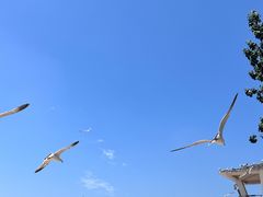 -星海广场