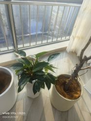 -HEYAN荷妍专业脱毛连锁机构