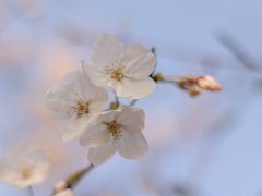 -苏州太湖国际会议中心