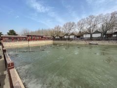 -尚庄度假村·庭台树下·户外烧烤·团建CS·轰趴营地(上庄水库店)