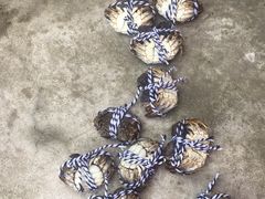 -乡乐园蟹庄·阳澄湖农家乐