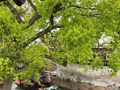 -观桥阁(锦溪店)