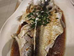 豉油皇蒸钱湖白条-山水一号·中餐厅