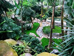 -大东方海鲜酒楼(小武基桥店)