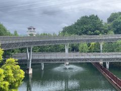 -福道