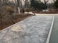 -回龙观体育文化公园