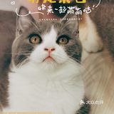 猫猫🐱狗狗🐶，更爱哪个？