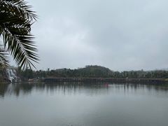 -枫香湖儿童公园