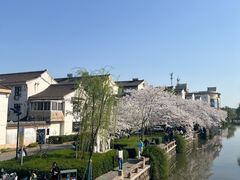 -常熟方塔园