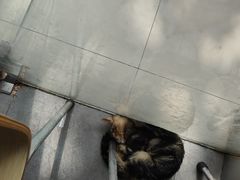-重庆麻辣烫(国权路店)
