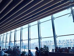 -Seesaw Coffee(朝阳大悦城店)